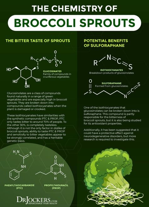 Broccoli Sprouts: Top 6 Health Benefits for Gut & Hormones Benefits Of Sprouts, Brussel Sprouts Health Benefits, Broccoli Sprouts Recipes, Sprout Benefits, Broccoli Sprouts Benefits, Brussel Sprouts Benefits, Health Benefits Of Broccoli, Sprouts Benefits, Nutritional Foods