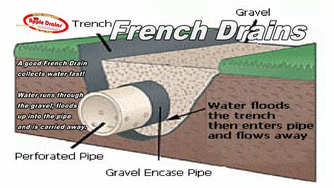 french drains (drain tile ) Fossa Séptica, Driveway Drain, Downspout Drainage, Yard Drain, Underground Drainage, Backyard Drainage, Wet Basement, Yard Drainage, Water Flood