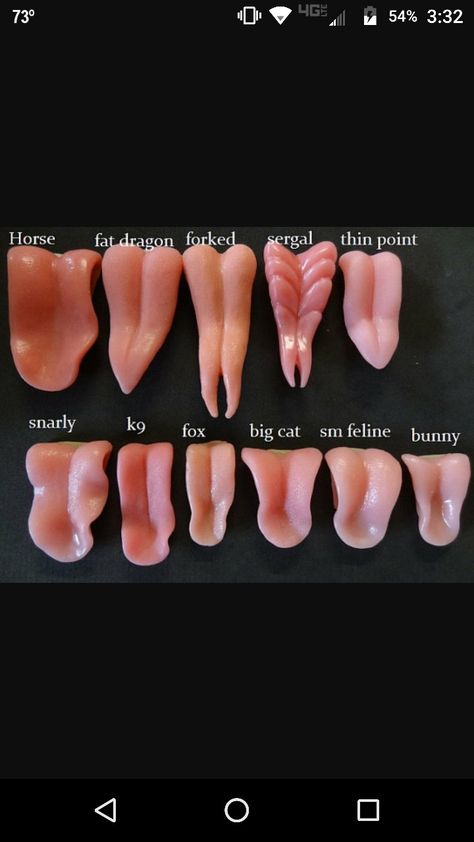 Showing Off Fangs Reference, How To Draw Saliva Digital, Realistic Teeth Drawing, Tongue Rendering, Open Wounds Drawing Reference, Tentacle Reference Chart, Neck Biting Reference, Tounge Drawing Base, Gut Spill Art Reference