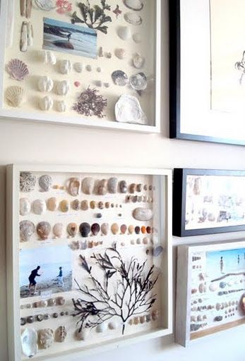 Shell Display, Diy Casa, Vacation Memories, Craft Rooms, Seashell Art, Beach Crafts, Seashell Crafts, Nature Crafts, Shell Crafts