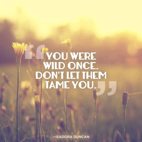 "You were wild once. Don't let them tame you." —Isadora Duncan #Quote Isadora Duncan Quote, Being Wild Quotes, Wild Quotes, Isadora Duncan, Card Sayings, Drawing Quotes, Say That Again, Wild Woman, True Life