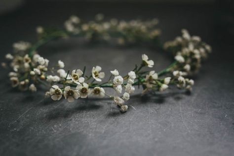 Wax Flower Crown, French Inspired Wedding, Princess Tattoo, Wax Flower, Wedding Playlist, Flower Girl Crown, Hair Wreaths, Bridal Flower Crown, Wax Flowers