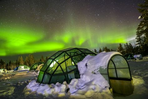 Travel Northern Lights at Kakkslautanen Glass Igloo. Aurora Borealis Northern Lights Photo, Lapland Finland, Winter Sports, Glass Domes, Picture Wall, Finland, Denmark, Iceland, Northern Lights