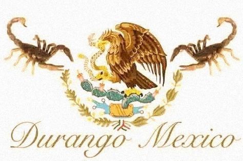 Durango Mexico Tattoos, Durango Tattoo, Mexico Tattoo, Mexico Wallpaper, Mexican Artwork, Durango Mexico, Mexican Culture Art, Mexico History, Mexico Culture