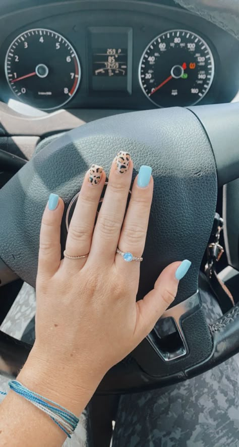 Blue Leapord Nails, Cheetah Nails Summer, Blue Cheetah Nails, Blue Leopard Nails, Light Blue Acrylic Nails, Light Blue Nail Ideas, Safari Nails, Rodeo Nails, Nails Board