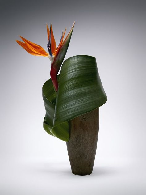 Palm Leaf Art, Ikebana Sogetsu, Sogetsu Ikebana, Floral Art Arrangements, Tropical Floral Arrangements, Tropical Flower Arrangements, Ikebana Flower, Ikebana Arrangements, Ikebana Flower Arrangement