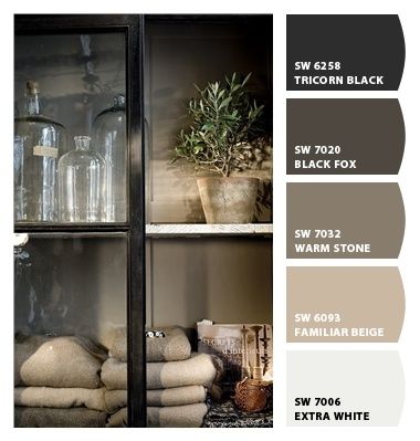 Black Fox Sherwin Williams, Exterior Paint Sherwin Williams, Iridescent Summer, Exterior Paint Schemes, Greige Paint Colors, Greige Paint, Grayish Color, Color Plate, William Black