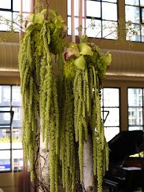 Michael Daigian Design: Trend: Eco Chic-Fabulously Green Hanging Amaranthus, Valentines Day Flowers, Rose Ideas, Vertical Garden Plants, Floral Designs Arrangements, Flower Hearts, Flowers And Hearts, Wedding Painting, Flower Installation