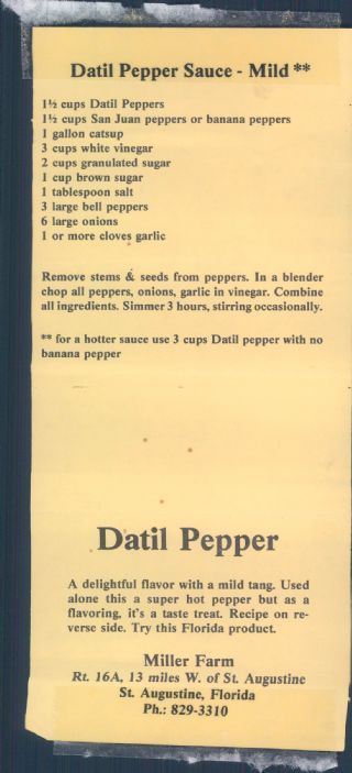 Datil Pepper Recipe, Minorcan Recipes, Banana Pepper Sauce Recipe, Datil Pepper Sauce, Justin Wilson Recipes, Datil Peppers, Datil Pepper, Pickled Peppers, Pepper Relish