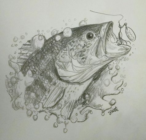 Largemouth Bass in pencil. Hunting Pencil Drawing, Bass Jumping Out Of Water Drawing, Largemouth Bass Drawings, Striped Bass Drawing, Sketchbook Art Inspiration Animals, Mahi Mahi Drawing, Bass Drawing Fish, Fish Realistic Drawing, Large Mouth Bass Drawing