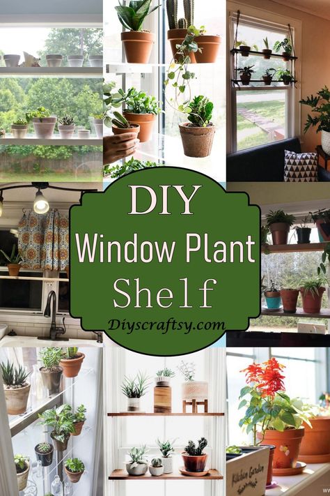 Kitchen Shelves For Plants, Plants Over Window Living Rooms, Window Stand For Plants, Window Shelves Diy, Bay Window Plant Display Ideas, Diy Indoor Window Planter, Plant Table Indoor Window Diy, Diy Kitchen Window Shelf, Plant Shelf Over Kitchen Sink