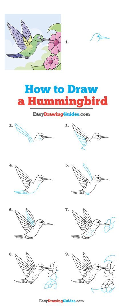 Step By Step Hummingbird Drawing, Hummingbird Drawing Sketches Pencil, How To Draw A Hummingbird, Drawing Hummingbirds, Draw A Hummingbird, Hummingbird Art Drawing, Hummingbird Sketch, Thyroid Exercise, Painting Prompts