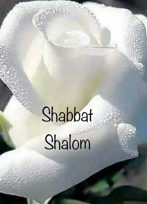 Shabat Shalom Image, Bon Sabbat, 4th Commandment, Happy Sabbath Quotes, Happy Sabbath Images, Sabbath Quotes, Shabbat Shalom Images, Sabbath Rest, Happy Sabbath