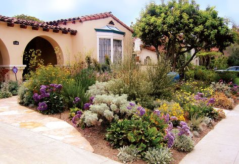 Waterwise Mediterranean - Mediterranean - Landscape - Los Angeles - by Urban Oasis Spanish Landscaping, Succulent Border, California Garden Design, Los Angeles Garden, Mediterranean Landscape Design, California Landscaping, Desert Backyard, Mediterranean Garden Design, Spanish Garden