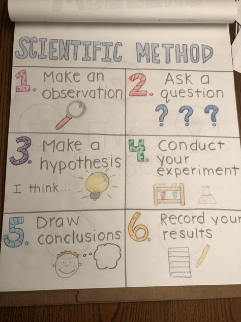 Scientific Method Anchor Chart 3rd Grade, Science Hypothesis Ideas, Science Anchor Charts 3rd, Science Anchor Charts 2nd Grade, 3rd Grade Science Experiments, Scientific Method Anchor Chart, 3rd Grade Science Projects, Montessori Multiplication, Scientific Method Experiments