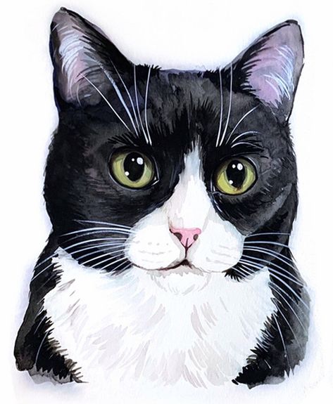 Watercolor Tuxedo Cat, Black Cat Watercolor Paintings, Cat Drawing Anatomy, Drawing Base F2u, Cat Drawing Base, Cat Drawing Aesthetic, Cat Drawing Black And White, Black And White Cat Painting, Tuxedo Cat Drawing