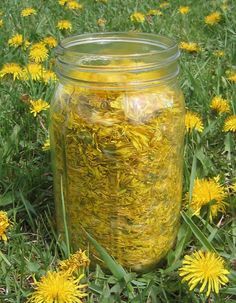 Don't waste the weed. Learn how to make dandelion wine with these 2 easy-to-follow recipes. Dandelion Cupcakes, Dandelion Vinegar, Dandelion Lotion, Dandelion Recipe, Dandelion Ideas, Dandelion Wine Recipe, Dandelion Tincture, Dandelion Syrup, Herb Teas