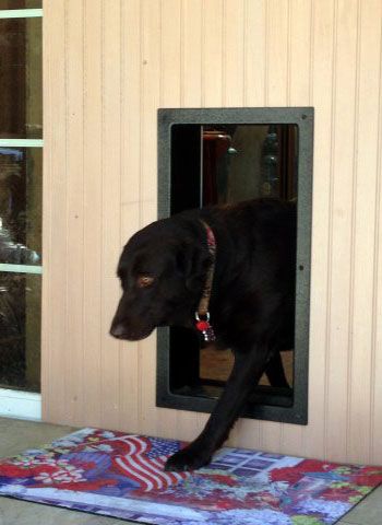 Dog Doors For Large Dogs, Smart Dog Door, Patio Dog Door, Automatic Dog Door, Large Dog Door, Patio Door Installation, Dog Potty Area, Door Pictures, Cat Doors