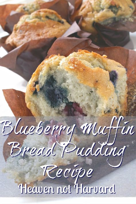 Leftover Blueberry Muffin Recipes, Blueberry Muffin Bread Pudding, Bread Pudding With Muffins, Leftover Muffins What To Do With, Muffin Bread Pudding, Bread Pudding Muffins, Costco Muffins, Blueberry Muffin Bread, Blueberry Bread Pudding