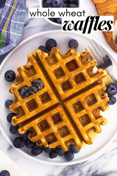 These whole wheat waffles are soft on the inside, slightly crisp on the outside, and just the thing for your breakfast table. Using a homemade and 100% whole wheat waffle mix, these buttermilk waffles feature a special trick to help them become SUPER fluffy. A family favorite! Cassava Waffles, Wheat Waffles, Cassava Flour Recipes, Aip Baking, Whole Wheat Waffles, Aip Breakfast, Autoimmune Paleo Recipes, Aip Paleo Recipes, Mexican Breakfast Recipes