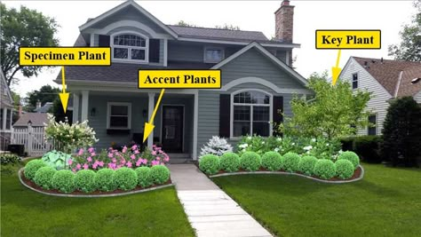 When designing any plant bed, there are 3 main plants you'll want to focus on. Specimen plants (usually an ornamental tree), accent plants (roses or other shrub to provide color), and a key plant (larger tree/shrub to help house feel the right size). Accent Plants, Plant Bed, Curb Appeal Landscape, Front Yards Curb Appeal, Cheap Landscaping Ideas, Front Yard Design, Front Landscaping, Garden Shrubs, Dry Creek