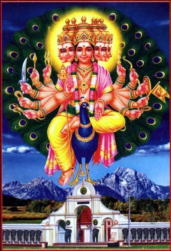 'Pazhani Malai' Murugan Lord Murugan Wallpapers, Shakti Goddess, Shiva Parvati Images, Hindu Statues, Lord Shiva Family, Hanuman Wallpaper, Lord Murugan, Lord Ganesha Paintings, Shiva Wallpaper