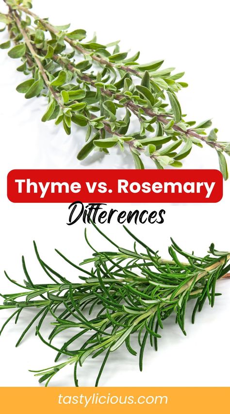 thyme and rosemary benefits | Can I substitute thyme for rosemary | thyme vs rosemary steak | thyme vs rosemary taste | summer dinner recipes | healthy lunch ideas | dinner ideas | breakfast ideas | easy healthy dinner recipes Rosemary Recipes Healthy, Canned Venison, Rosemary Steak, Herbs For Protection, Thyme Plant, Rosemary Herb, Rosemary Recipes, Growing Rosemary, Growing Healthy Hair