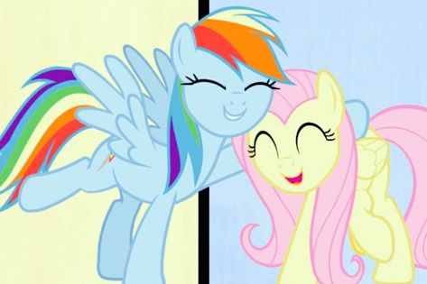 Rainbowdash Fluttershy, Fluttershy And Rainbow Dash, Rainbow Dash And Fluttershy, Rarity Applejack, The Mane 6, Fluttershy Rainbow Dash, Mlp Ships, Mane 6, Literally Us