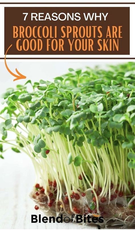 Broccoli Sprouts Recipes, Broccoli Sprouts Benefits, Sprouts Benefits, Glowing Skin Juice, Whole Plant Based Diet, Microgreens Recipe, Broccoli Benefits, Alfalfa Sprouts, Broccoli Sprouts