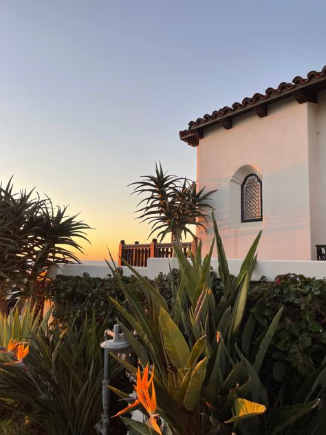 Aesthetics of california sunset with palm trees and minimalist architecture Lounge Aesthetic, California Backyard, California Life, Palm Tree Decorations, California Architecture, California Sunset, Desert Homes, Minimalist Architecture, California Homes