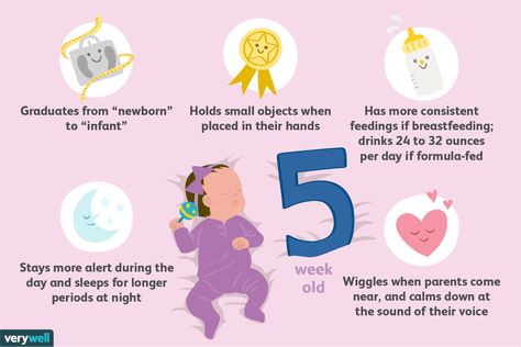 Your 5-Week-Old Baby: Development & Milestones 5 Weeks Old Baby, How Much Formula, Baby Development Chart, Baby Development Milestones, Baby Milestone Chart, Milestone Chart, 5 Month Baby, 5 Month Old Baby, 4 Month Old Baby