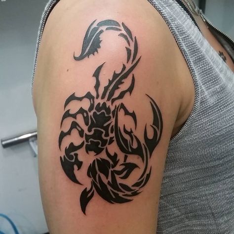 An black tattoo design which conveys the relationship between the zodiac signs, Scorpio and Pisces. The tattoo is located on the upper arm; near the shoulder; and it is mainly an image of a scorpion, which highlights it’s dominant nature. In addition, a fish which is located right below the scorpion, that elaborates the submissive nature of a Pisces. Scorpio Pices Tattoo, Scorpio And Pisces Tattoo Combined, Scorpio Pisces Tattoo, Pices Zodiac Tattoo Women, Scorpio X Pisces, Black Tattoo Design, Scorpio Zodiac Tattoos, Pisces Tattoo Designs, V Tattoo