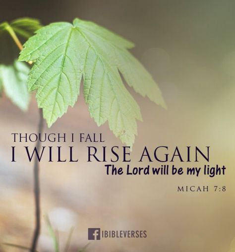 Micah 7:8 When you fall, get back up. Vertrouw Op God, Faith Board, I Will Rise, A Course In Miracles, Get Back Up, Bible Quote, Awesome Quotes, Biblical Quotes, Bible Words