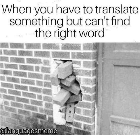 Bilingual Humor, Bilingual Quotes, Funny Translations, Hr Humor, Language Jokes, Studying Memes, Dark Jokes, Art Jokes, Fandom Funny