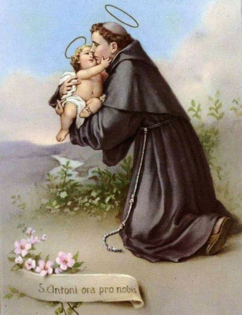 Saint Anthony of Padua | 25th July 2023 St Anthony Prayer, St Anthony Of Padua, The Concubine, Anthony Of Padua, Saint Anthony Of Padua, Agnus Dei, San Nicola, Saint Francis, St Anthony