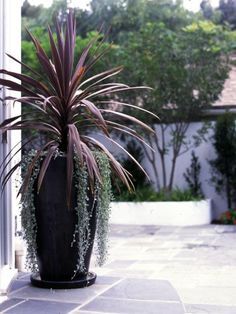 Outdoor Planters Front Door, Planters For Shade, Front Door Plants, Large Garden Pots, Garden Troughs, Outdoor Urns, Large Backyard Landscaping, Large Outdoor Planters, Door Planter