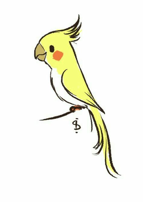 Parrot Drawing, Bird Doodle, Parrots Art, Cartoon Birds, Cute Bird, Funny Birds, Yellow Bird, Dessin Adorable, Bird Drawings