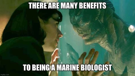 There Are Many Benefits To Being A Marine Biologist, Feminism Humor, Marine Biologist, In Memes, Mermaid Life, Marine Biology, Fishing Humor, Lose My Mind, Reaction Pictures