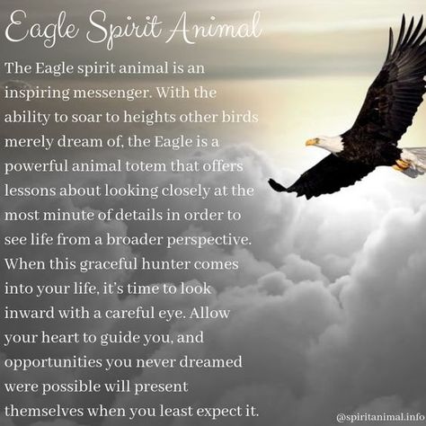 Animal Spirit Guide for May 13 is The Eagle – Witches Of The Craft® Eagle Spiritual Meaning, Eagle Tattoo Girl, Eagle Spirit Animal, Animal Totem Spirit Guides, Eagle Totem, Bald Eagle Art, Spirit Animal Meaning, Animal Meanings, Spirit Animal Totem