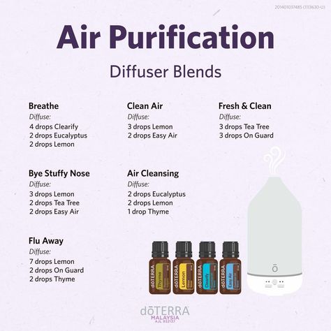 Essential Oils Clean Air, Clean Home Essential Oil Diffuser Blends, Diffuser Blends For Clean Air, Diffuser Clean Air, Doterra Air Purifying Diffuser Blend, Essential Oil To Clean The Air, Air Cleansing Diffuser Blend, Doterra Air-x Diffuser Blends, Essential Oils For Clean Air