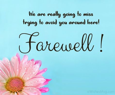 Farewell Wishes For Colleague, Friends Farewell Quotes, Short Farewell Quotes For Friends, Farewell Msg For Friend, Farewell Quotes In Hindi, Farewell Email To Colleagues, Funny Farewell Quotes, Farewell Quotes For Coworker, Farewell Quotes For Seniors