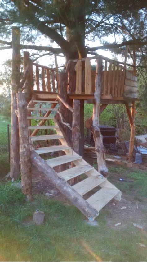 Palette Tree House, Easy Tree House Ideas, How To Make A Tree House, Simple Tree House Ideas, Diy Tree House For Kids, Easy Tree House Diy, Tree House Designs For Kids, Free Standing Tree House, Easy Treehouse