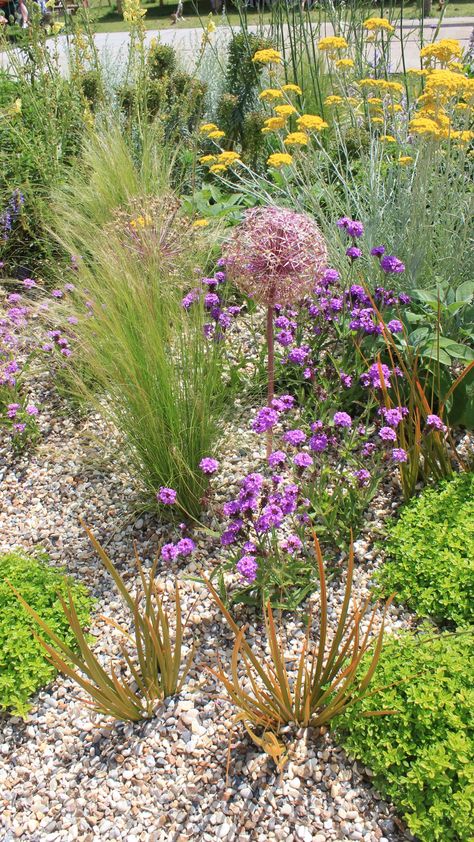 Gravel Garden Beth Chatto, Coastal Gravel Garden, Beth Chatto Dry Garden, Gravel Garden Plants, Planting In Gravel, Gravel Garden Planting, Plants For Gravel Gardens, Mediterranean Gravel Garden, Beth Chatto Garden