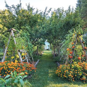 Potager Garden, Permaculture Gardening, Veg Garden, Have Inspiration, Vegetable Garden Design, Garden Tours, A Barn, Veggie Garden, Garden Cottage