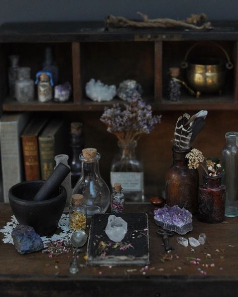 A sacred altar is crucial for casting spells, conjuring visions, and brewing love potions✨ 📷 wildtalisman #AltarDecor #WitchAltar #Altar #AltarSpace #AltarsOfInstagram #WitchyDecor #livemoremagic #everydaymagic #magicalliving #alliseeismagic #magickal #magick #spellcraft #galleryofmagic #enchantedliving #HedgeWitch #HedgeWitchcraft #HedgeWitchery #GreenWitch #GreenWitchcraft #GreenWitchery Apothecary Table, Cottage Witch Aesthetic, Hedge Witchcraft, Hedge Witchery, Aesthetic Library, Crystals Aesthetic, The Magician Tarot, Witchcraft Altar, Witch Herbs