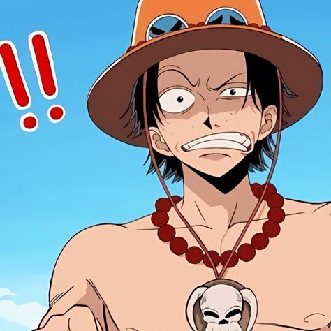 Ace And Luffy Matching Icons, Portgas D. Ace Icon, Ace Hat, Ace One Piece, Ace Sabo Luffy, Ace And Luffy, One Piece Ace, One Piece Funny, One Peice Anime