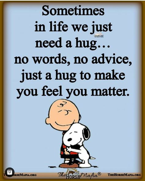 Need A Hug Quotes, Peanuts Quotes, Safety Plan, Hug Quotes, Virtual Hug, Snoopy Quotes, Need A Hug, Memories Quotes, You Matter