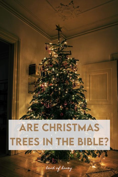 Christian Themed Christmas Tree, Bible Study Christmas, Tree Bible Verse, Christian Christmas Tree, Christian Tree, Christmas Bible Study, Bible Food, Bible Christmas, Biblical Christmas