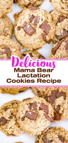 'Mama Bear' Lactation Cookies Lactation Cookie Recipe, Recipe With Chocolate Chips, Homemade Chocolate Chip Cookies Recipe, Best Vegan Cookies, Lactation Cookies Recipe, Raspberry Oatmeal, Oats Chocolate, Cookie Recipes For Kids, Oat Recipes Healthy