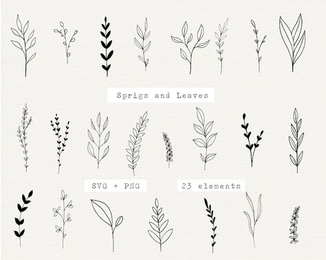 Botanical SVG Bundle Hand Drawn Sprig and Leaf Black Leaf - Etsy Australia Blatt Tattoos, Leaf Png, Hand Clipart, Hand Drawn Leaves, Leaf Clipart, Art Cut, Line Art Vector, Flowers Illustration, Lettering Calligraphy